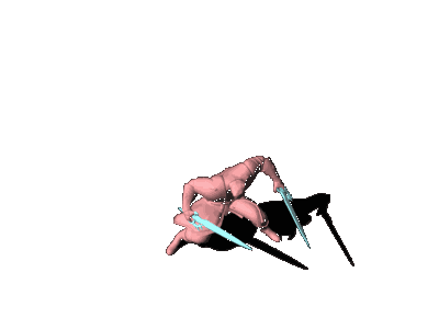 HIT2-各职业动作_壮汉- 双刀_DSword_Skill2.gif